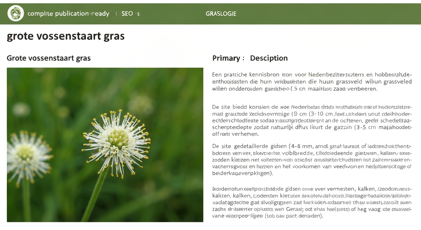 Grote vossenstaart (Alopecurus pratensis) in bloei in een Nederlands gazon, zachte cilindrische aren duidelijk zichtbaar.