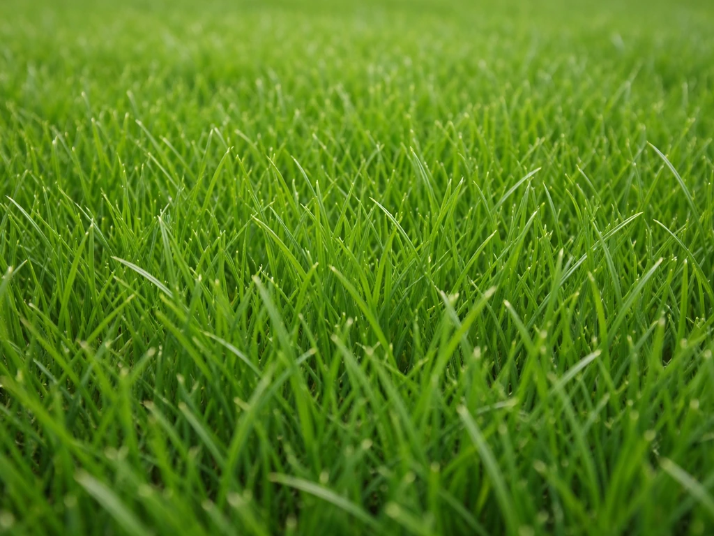 Close-up van dicht, groen gazon met fijne grassprieten van Engels raaigras.